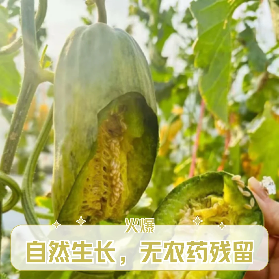 蜜园18羊角蜜400g左右