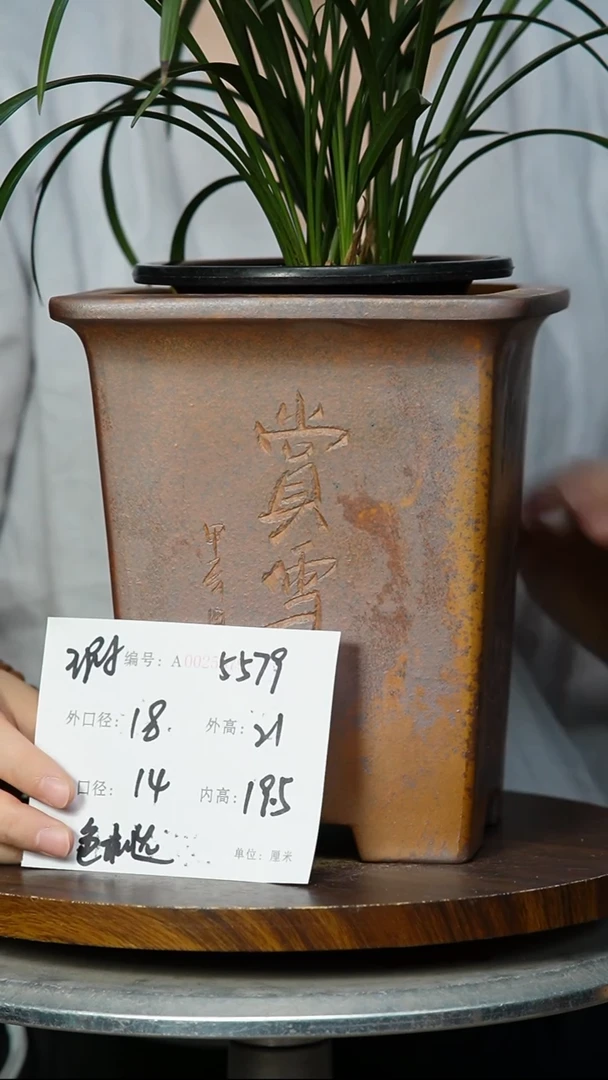 5579+瑕 紫砂花盆紫砂