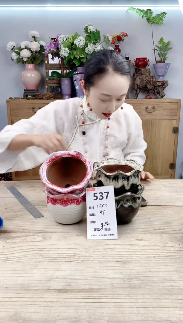 小玩子花盆直播号537