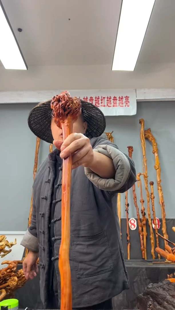 【闪购商品】黑果木其他黑果木309