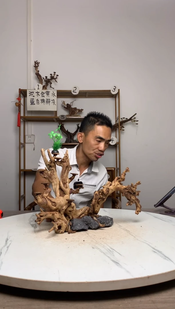 王*鱼缸造景沉木摆件