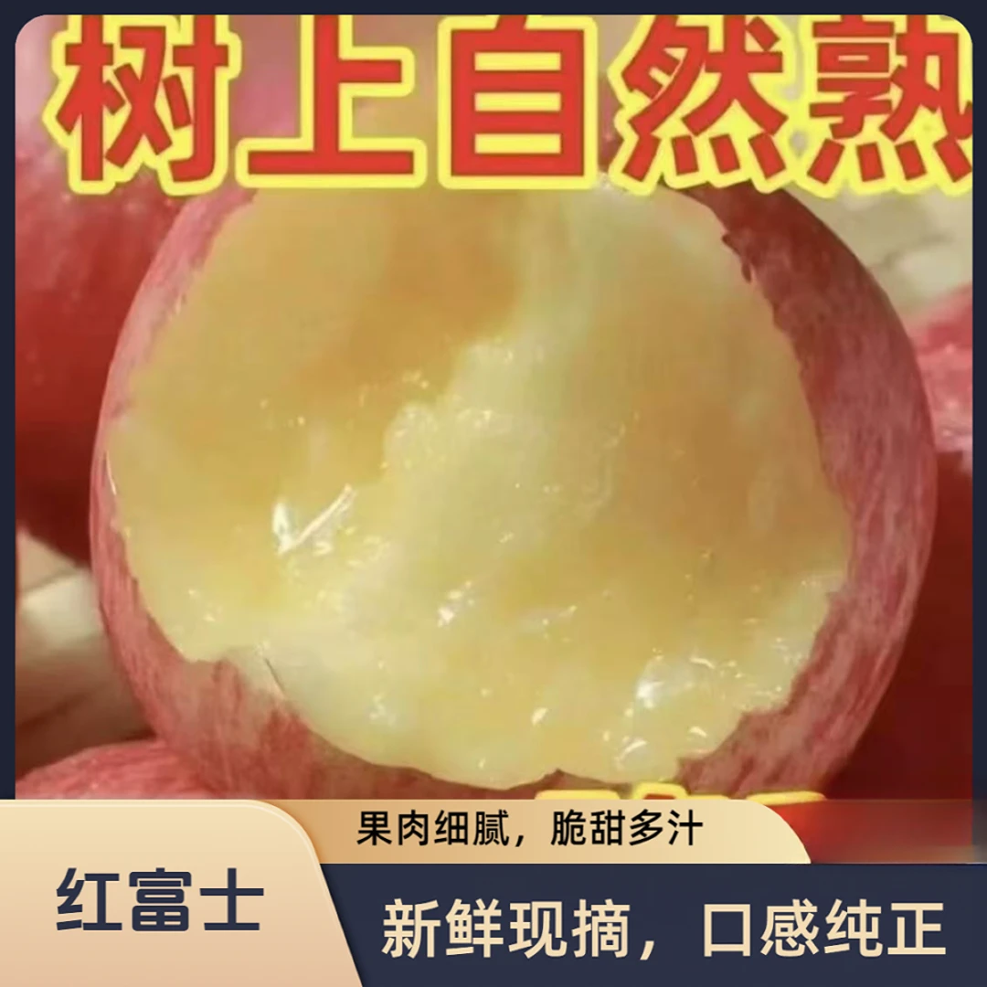 【星球】2025年正宗红富士正宗红富士脆甜多汁农场直销邵通富士XY2