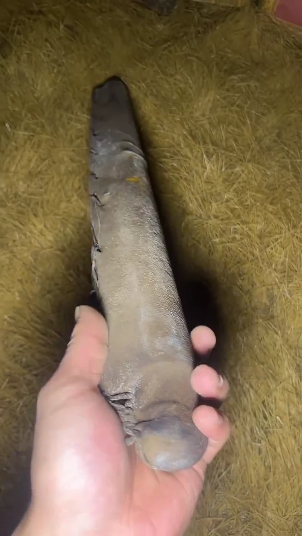 木质【闪购】——————大福利