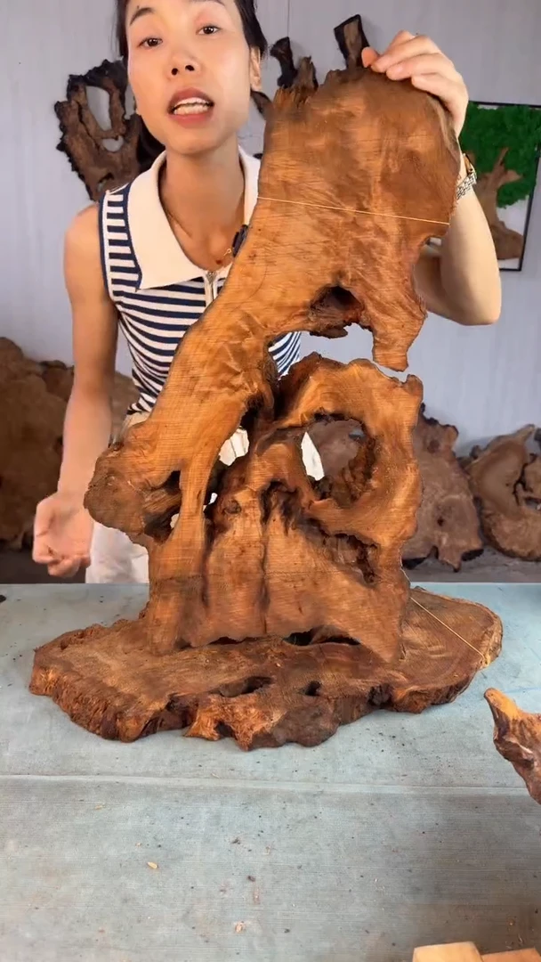 香杉木杉木瘤随型【原料】007