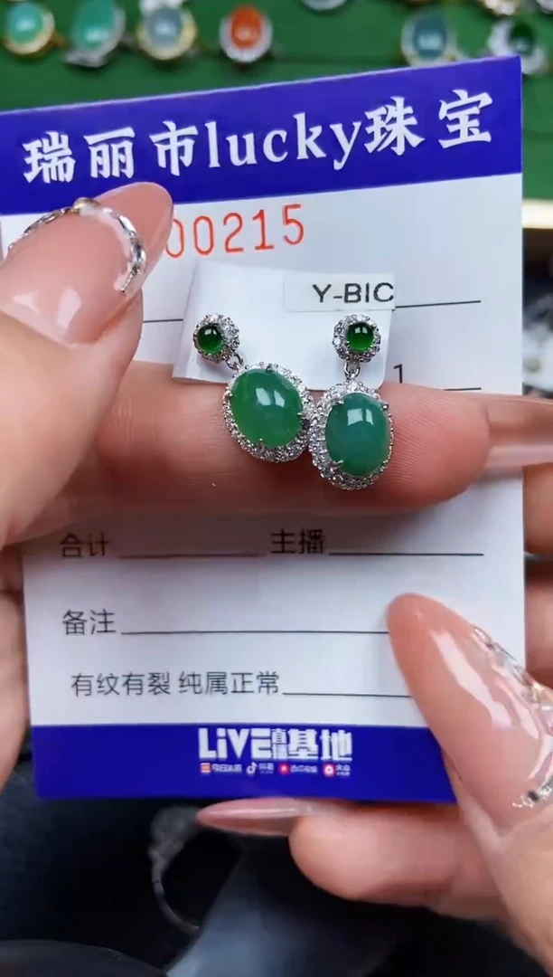 【闪购商品】翡翠颈饰银S925镶嵌0215