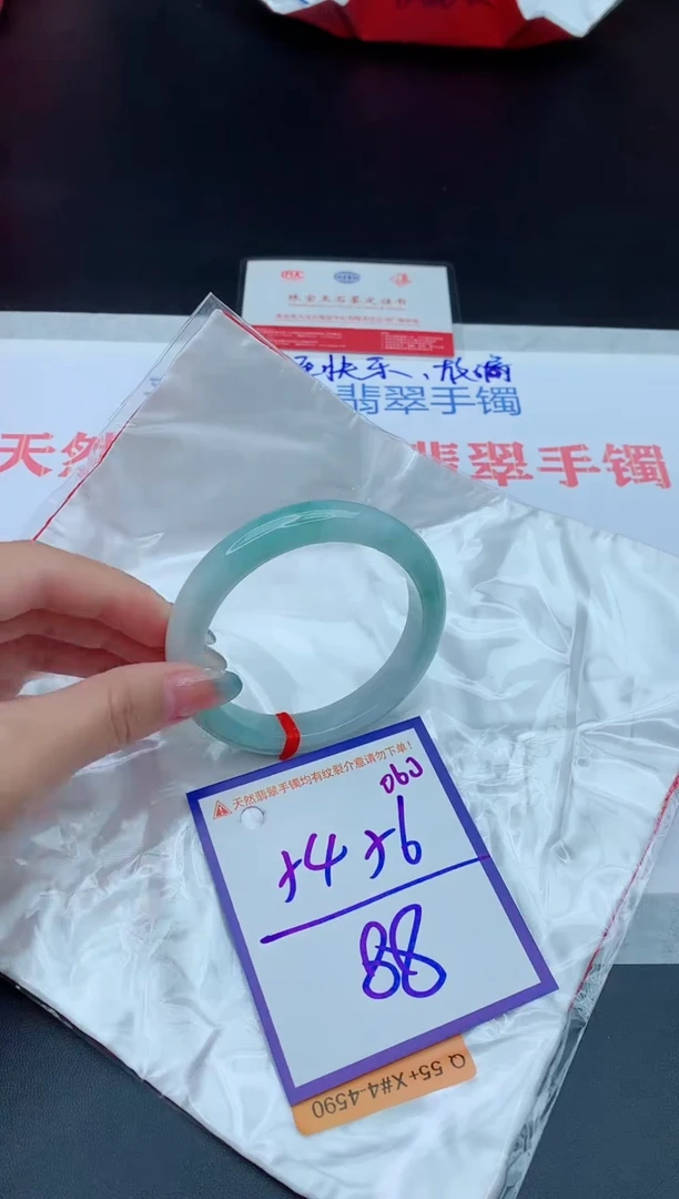 未镶嵌手镯翡翠111111111