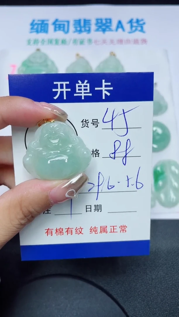 翡翠未镶嵌吊坠(赠链)45
