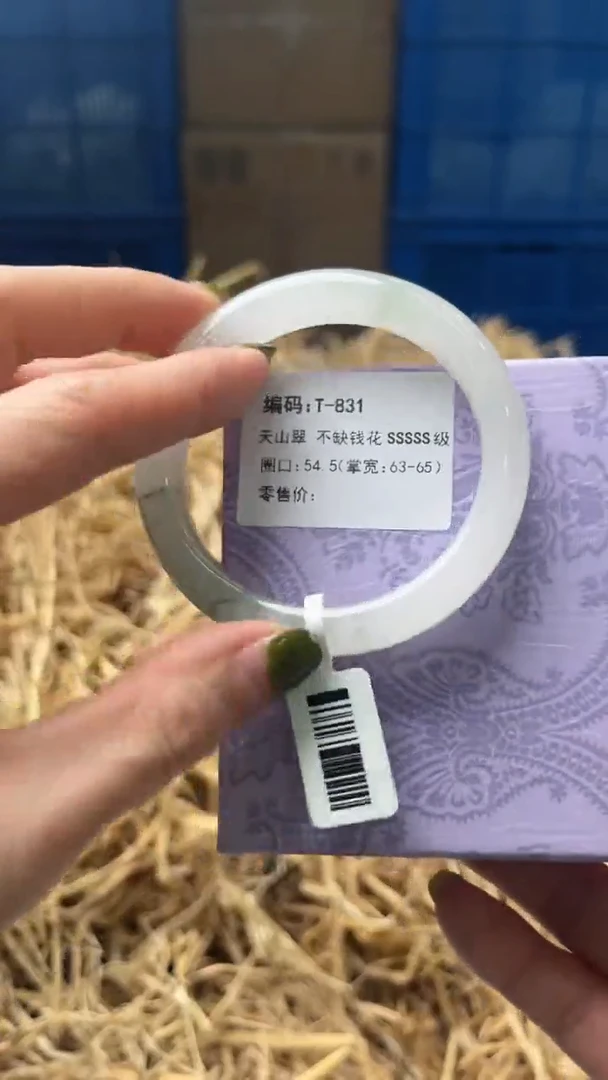 未镶嵌手镯石英质玉T831