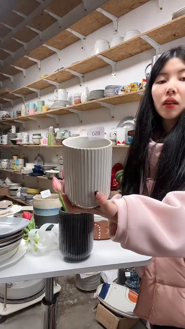 【闪购商品】B50大野乐仓库闪购品