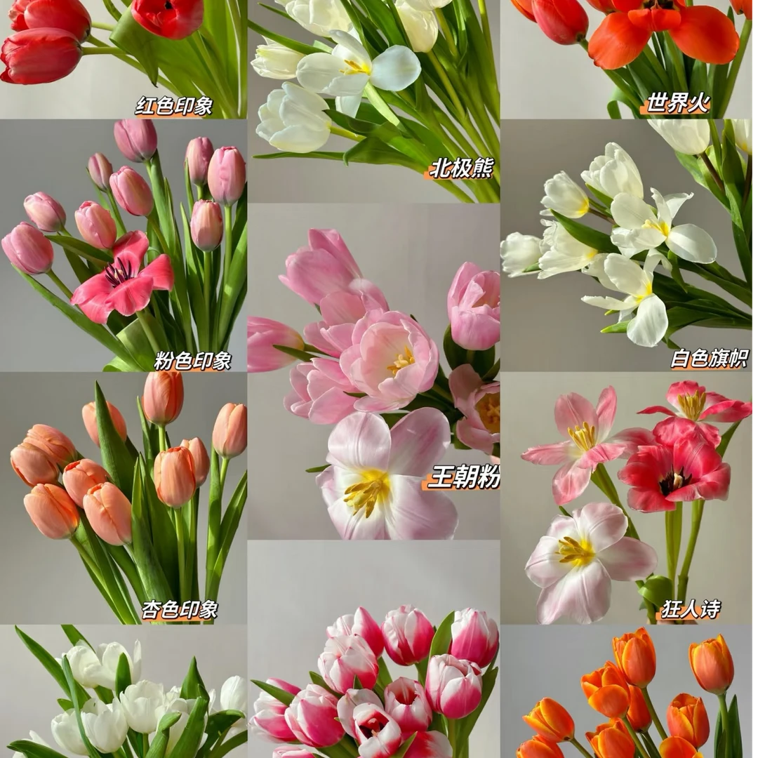 【一单不售后|郁金香】稀缺小众高端花材 鲜切花