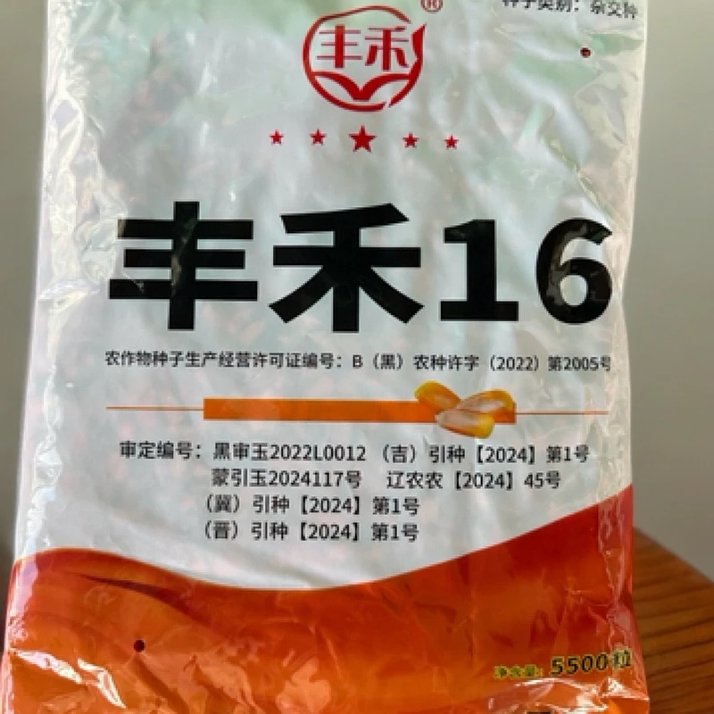 丰禾16 玉米杂交种