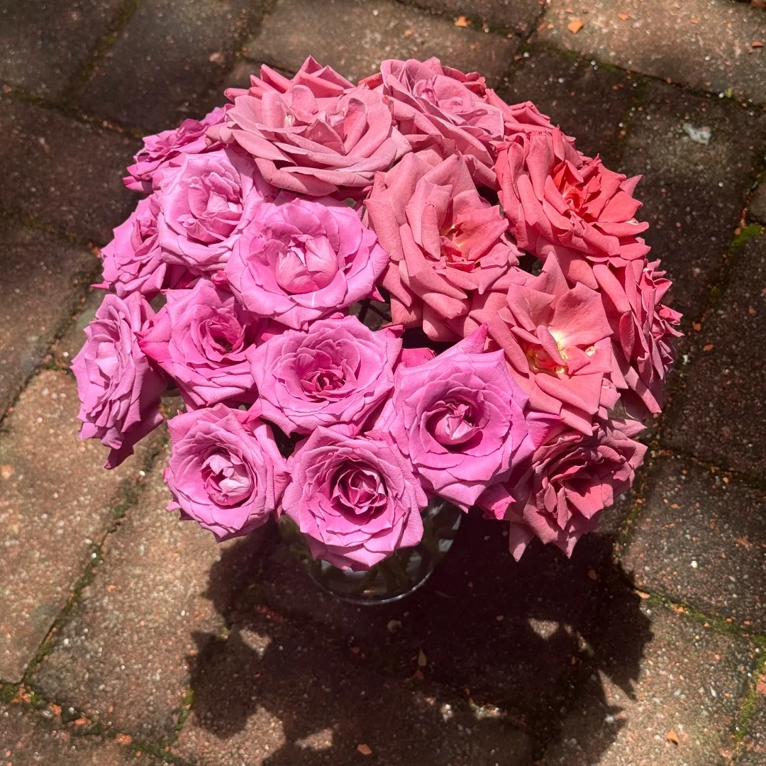 【乌梅冰沙+红茶玫瑰】不包邮一个运费任意拍云南鲜花直发