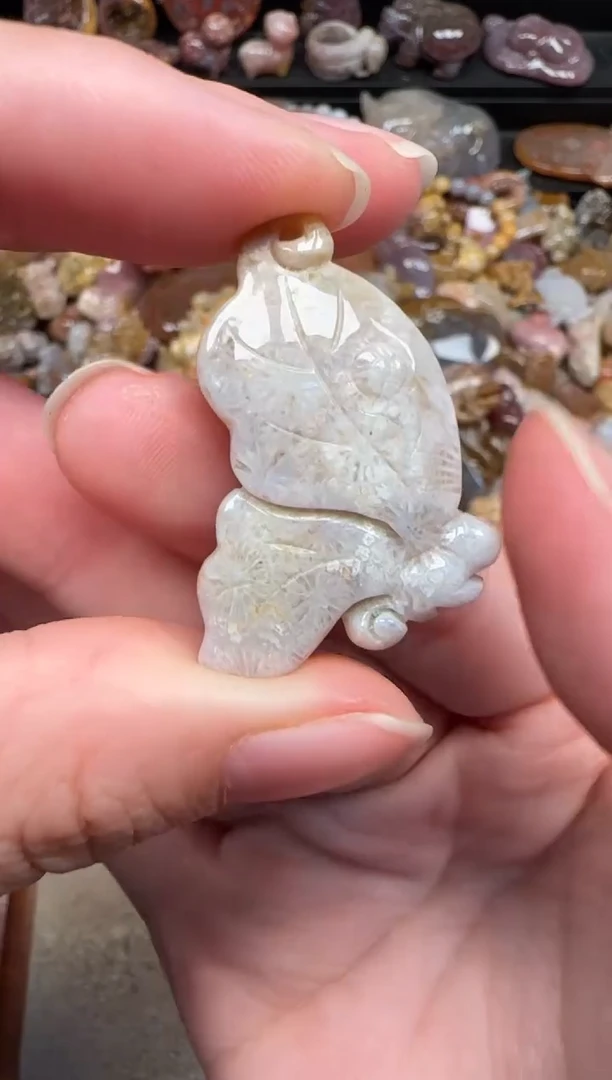 颈饰未镶嵌硅化珊瑚（珊瑚玉）706