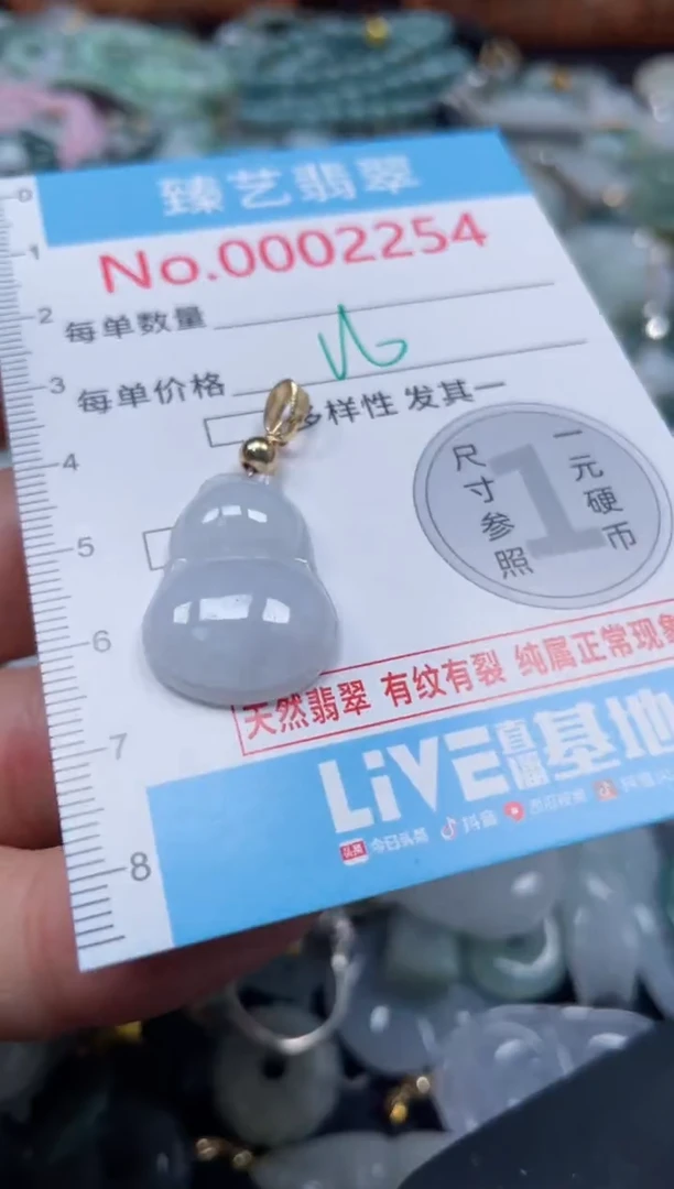 颈饰未镶嵌翡翠2254