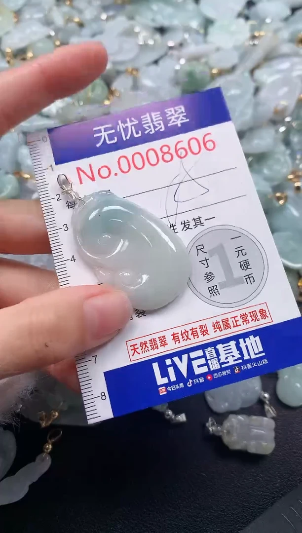 颈饰未镶嵌翡翠8606