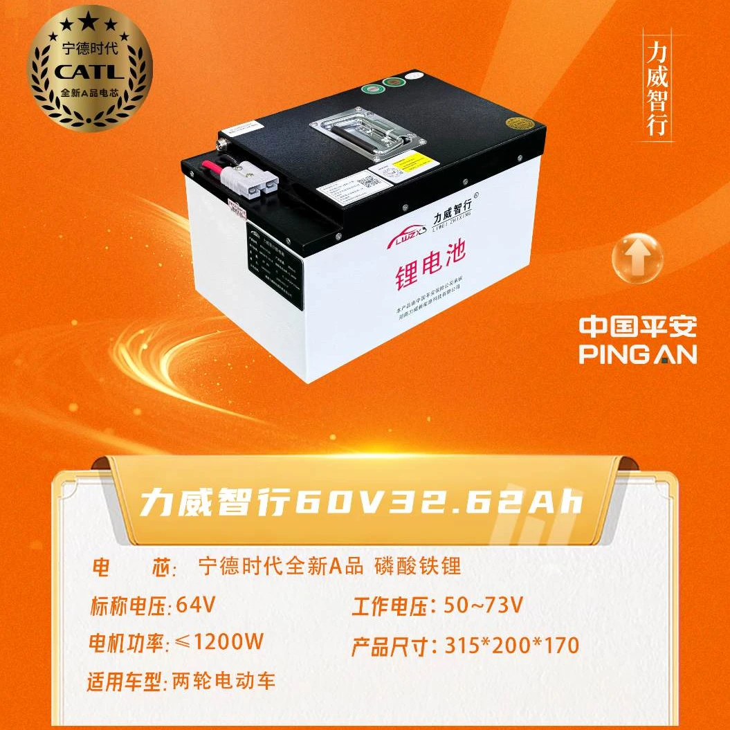力威智行60V32.65Ah长续航两轮电动车锂电池（含充电器、显示器）