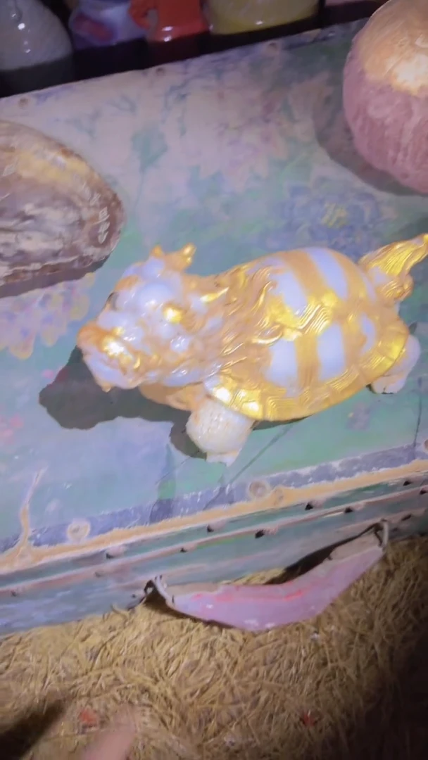 木琳专属哈哈哈哈哈哈哈哈哈哈
