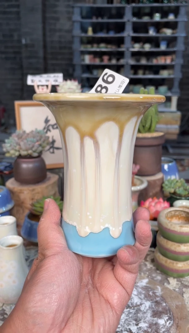 瓷片986小芳直播编号