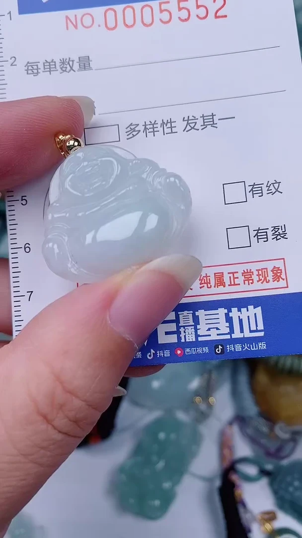 翡翠未镶嵌颈饰00005552