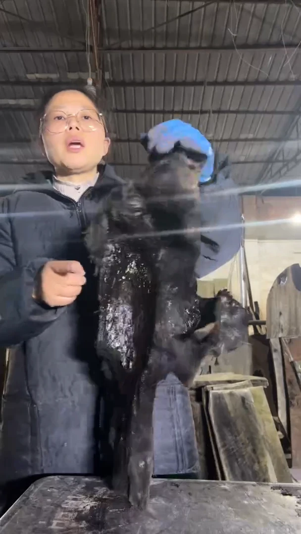 金丝楠19金丝楠小叶桢楠原材料