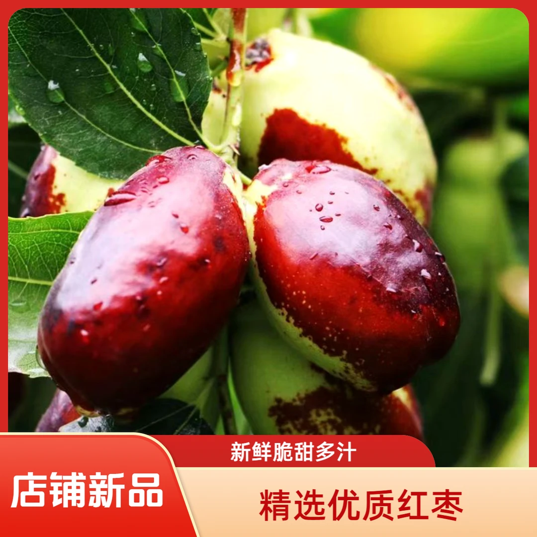 宁夏特产灵武长枣当季新鲜水果脆甜可口露天红枣现摘现发