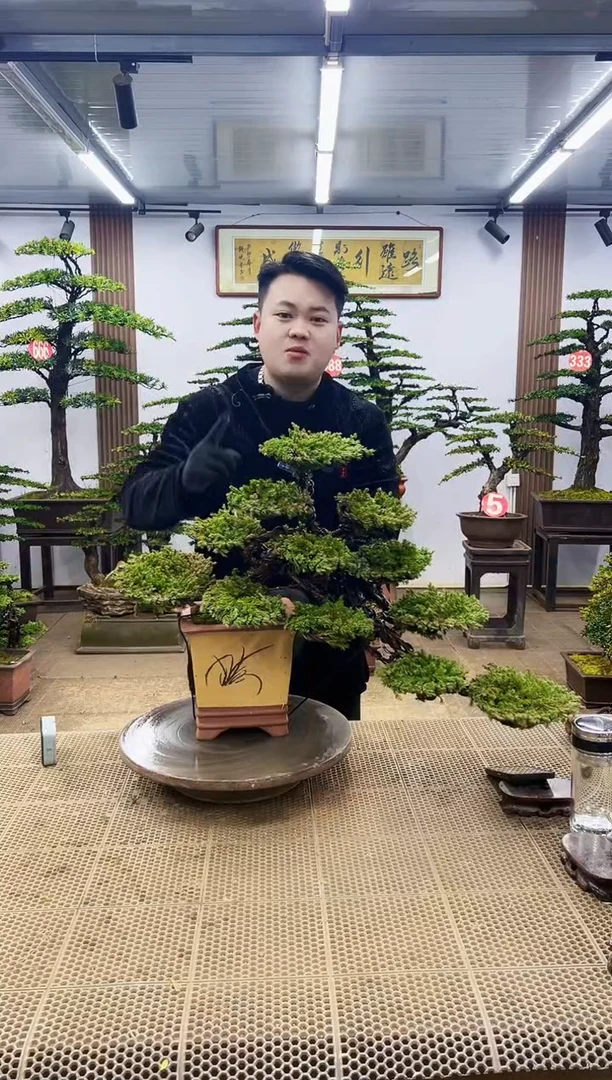 【闪购商品】00000000