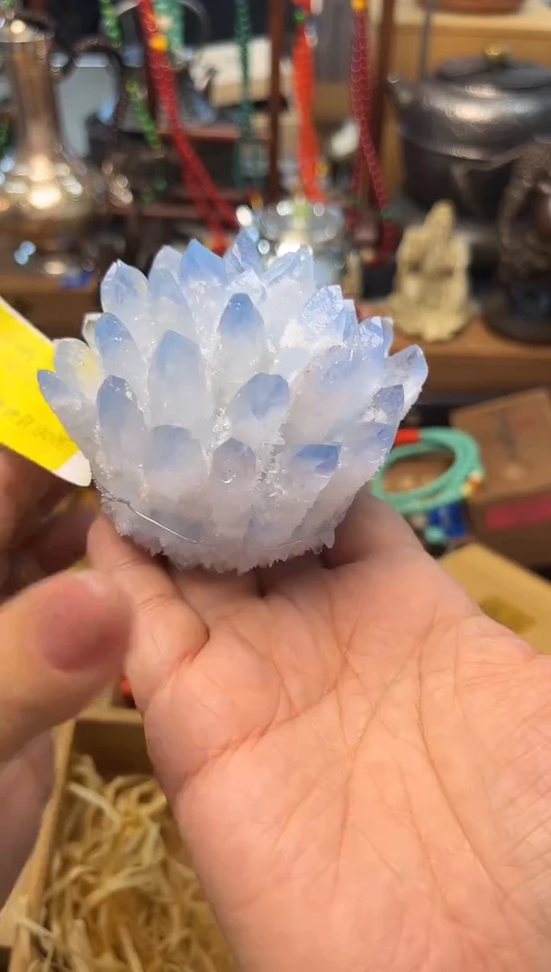 瓷片SJ炎美壹号铺质量保证