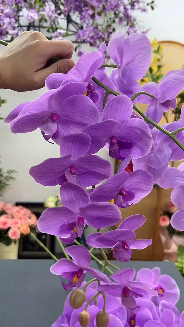 2枝紫色9头蝴蝶兰
