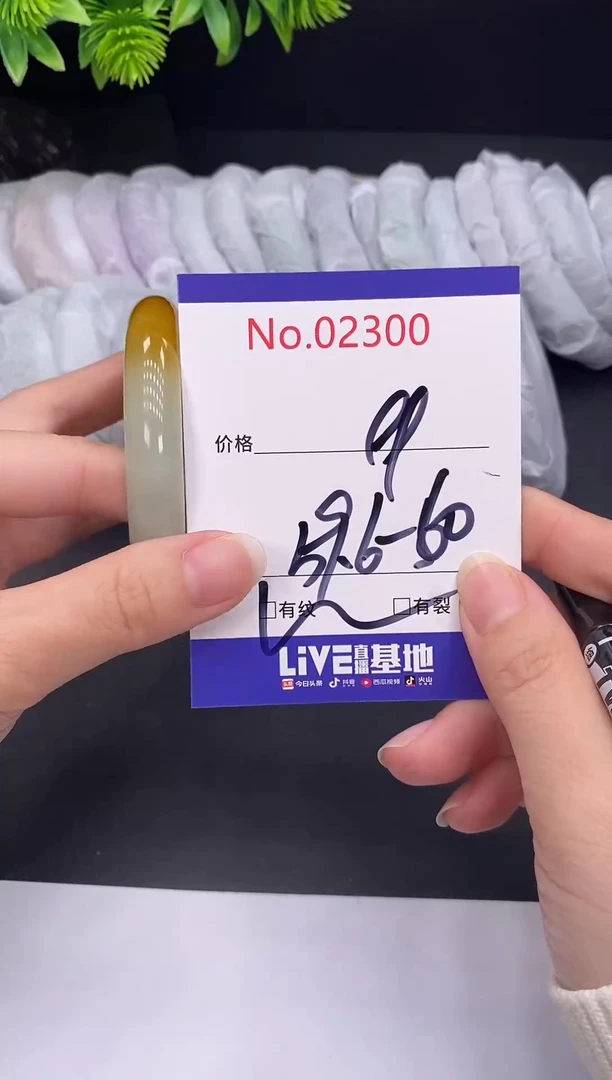 未镶嵌手镯翡翠2300