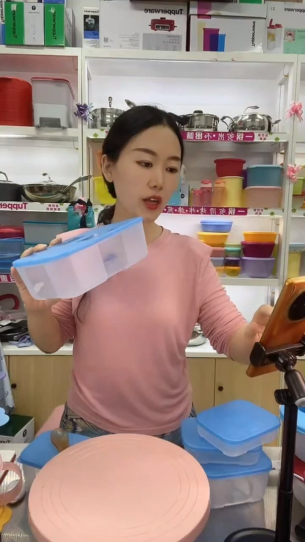 盖子款塑料特百惠1.7L冷冻盒3个装