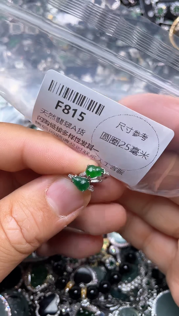 【闪购商品】翡翠颈饰未镶嵌F815耳扣