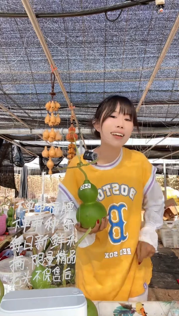546天然葫芦摆件 一物一拍龙头不保售后