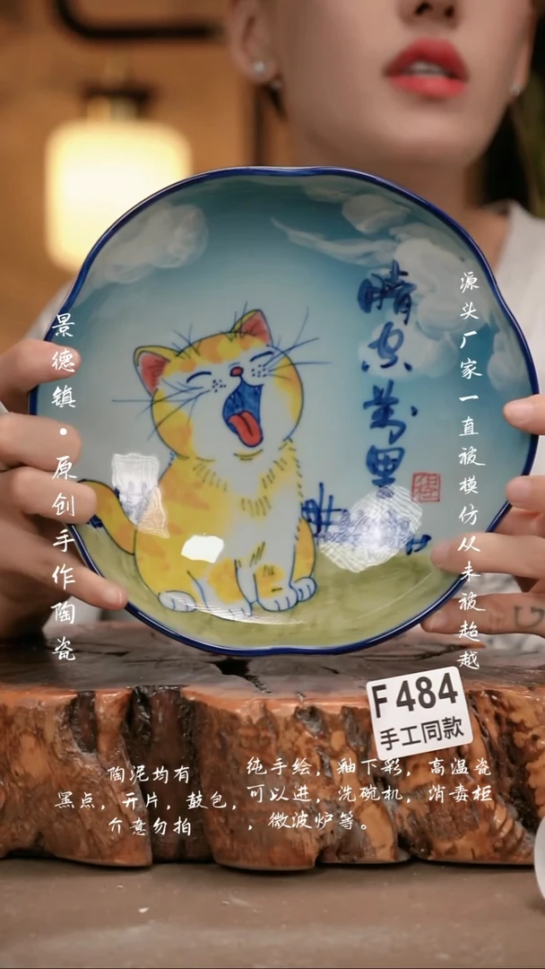 其他F484新十二器