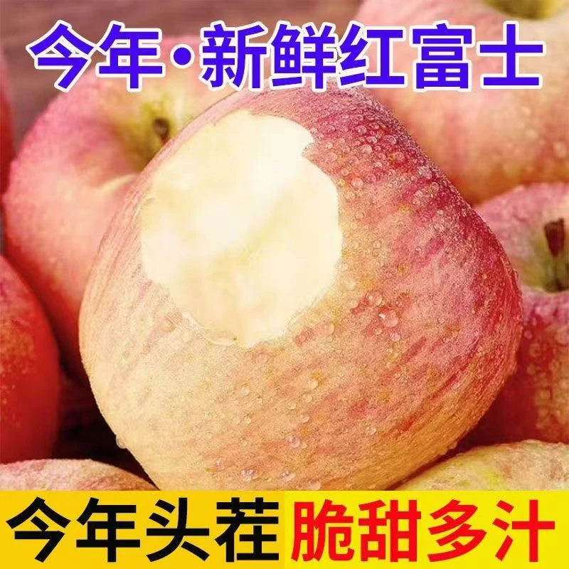 2025年正宗红富士苹果脆甜多汁直销现摘现发产地直发冰糖心苹果