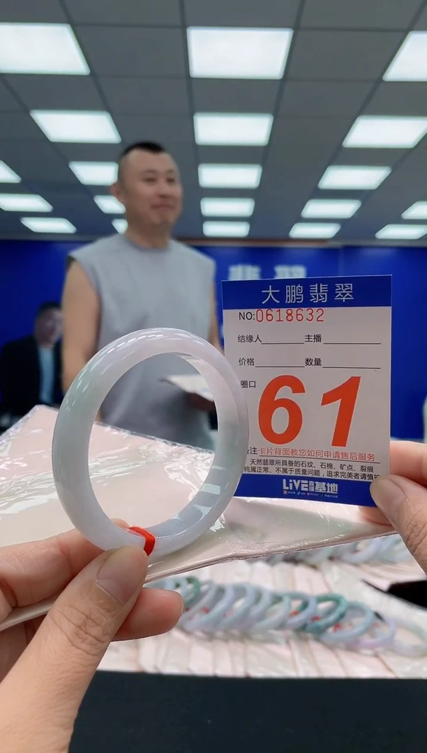 未镶嵌手镯翡翠AAAAAAAAA