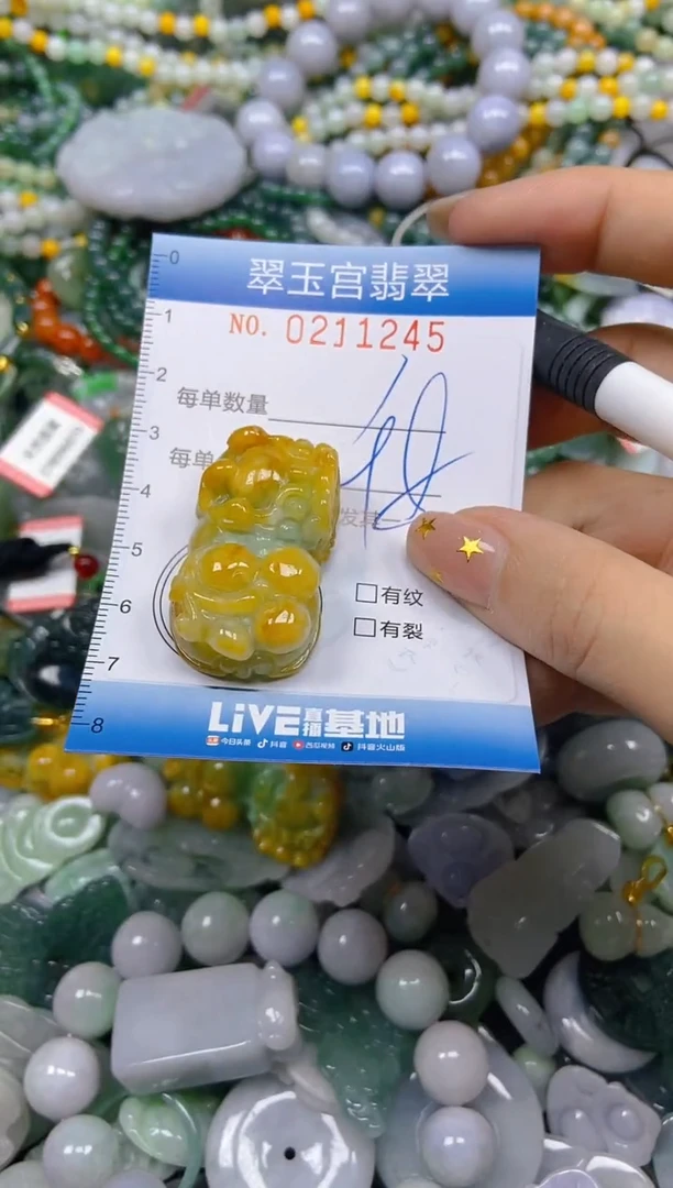 颈饰未镶嵌翡翠闪购C0211245