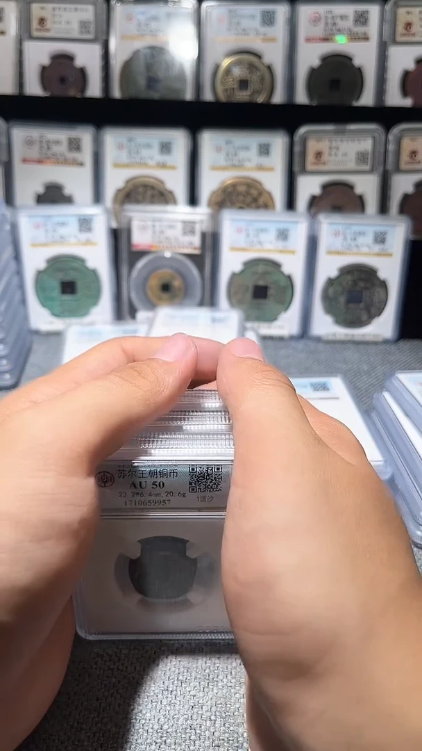 铜A149公博苏尔王朝铜币一枚