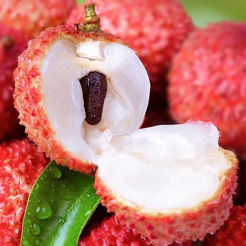 【京东快递】广东茂名桂味荔枝2.5/4.5斤新鲜水果香甜多汁多仓发货