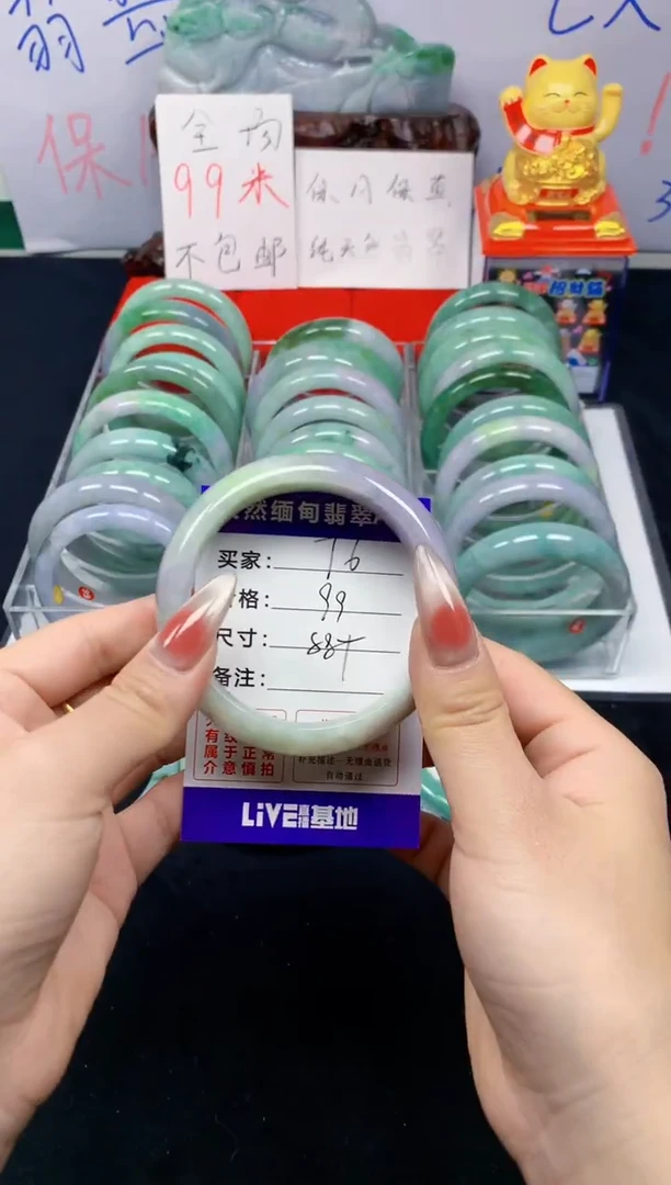 未镶嵌手镯翡翠76