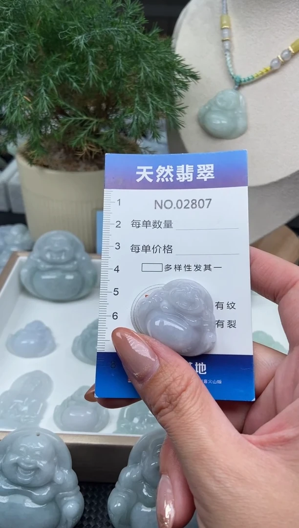 颈饰未镶嵌翡翠纯天然A货缅翡2807