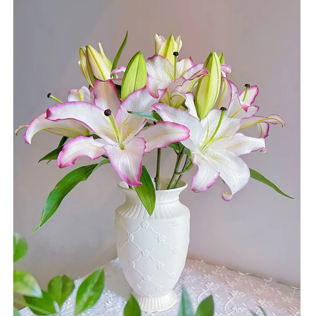 唇彩香水百合（粉紫花边）