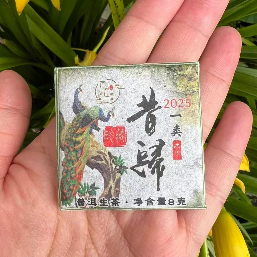 【25年昔归忙麓山】一类古树孔雀方块