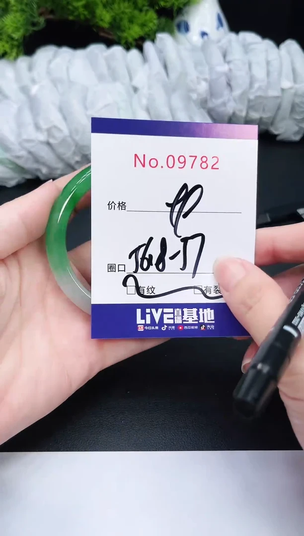 未镶嵌手镯翡翠9782春
