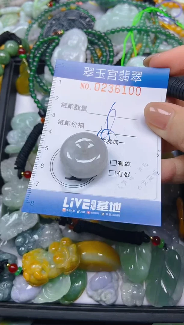 颈饰未镶嵌翡翠闪购C0236100