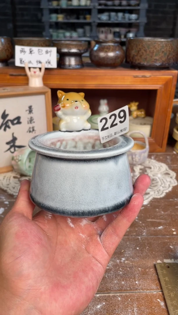 瓷片229知木小芳花盆直播编号