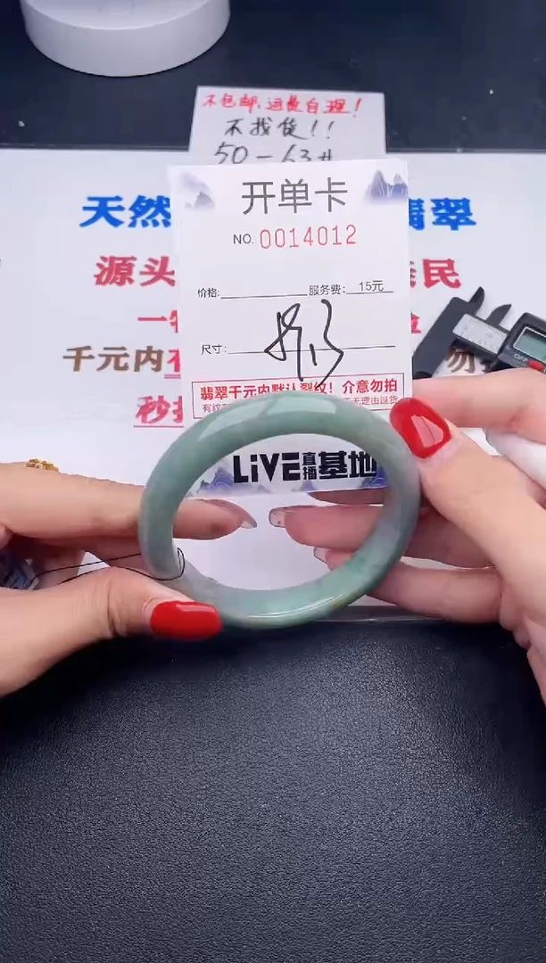未镶嵌手镯翡翠12