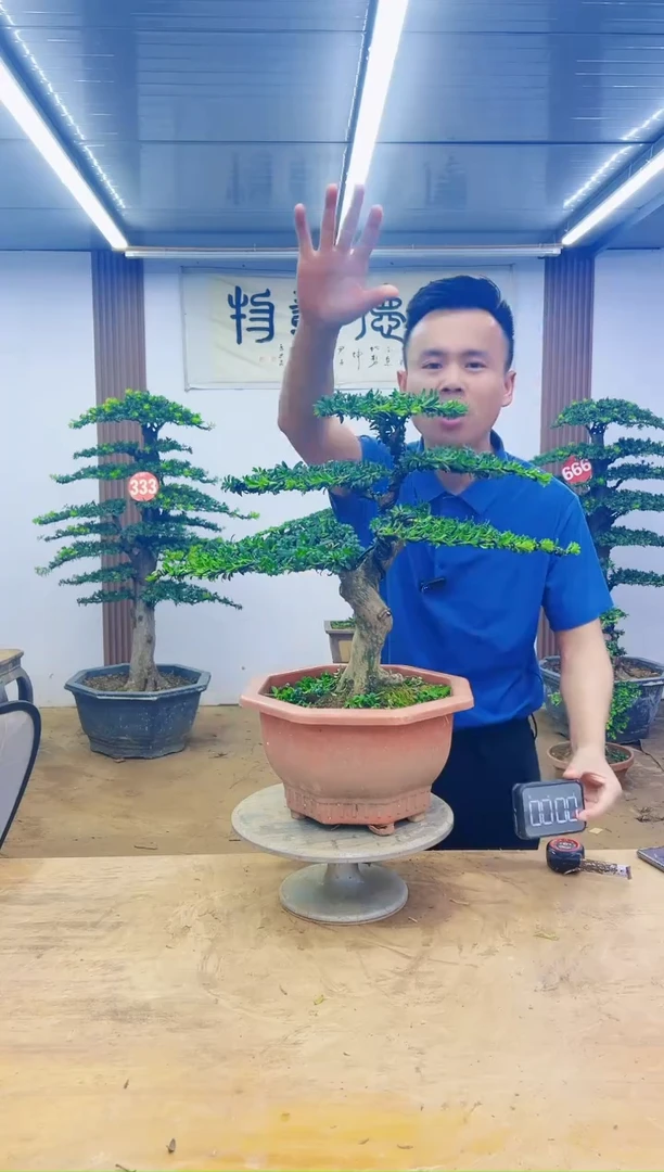 00000000000000000000