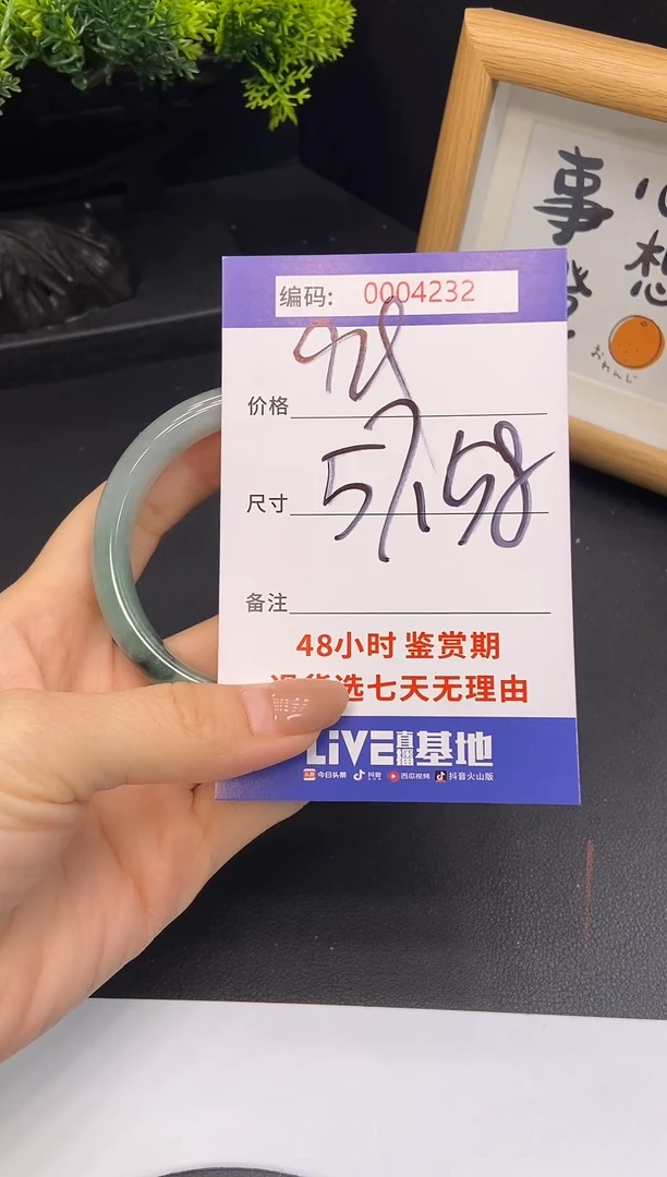 未镶嵌手镯翡翠0004232