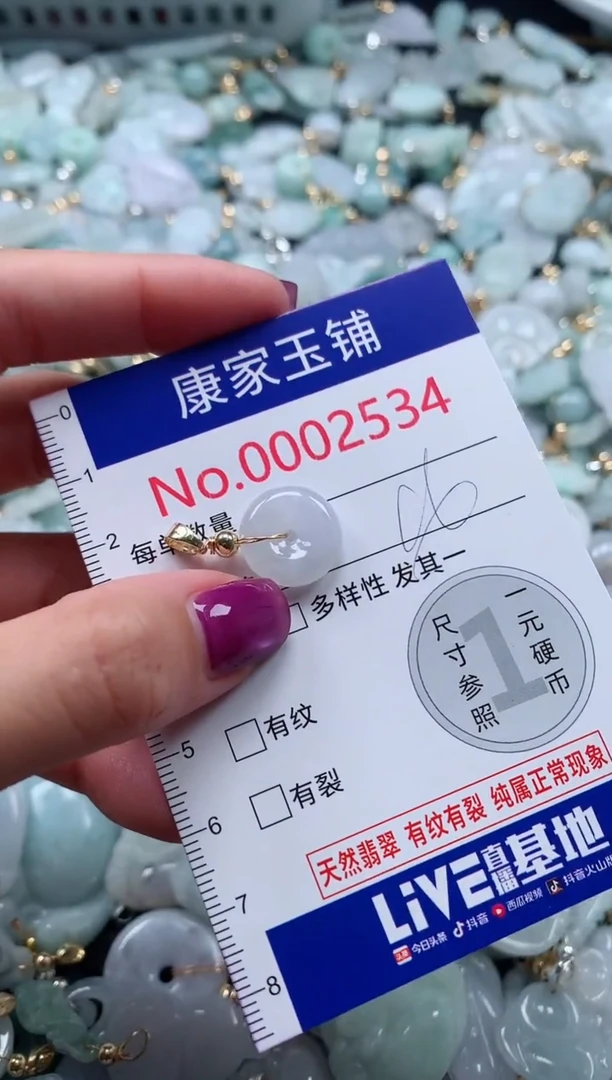 颈饰未镶嵌翡翠2534