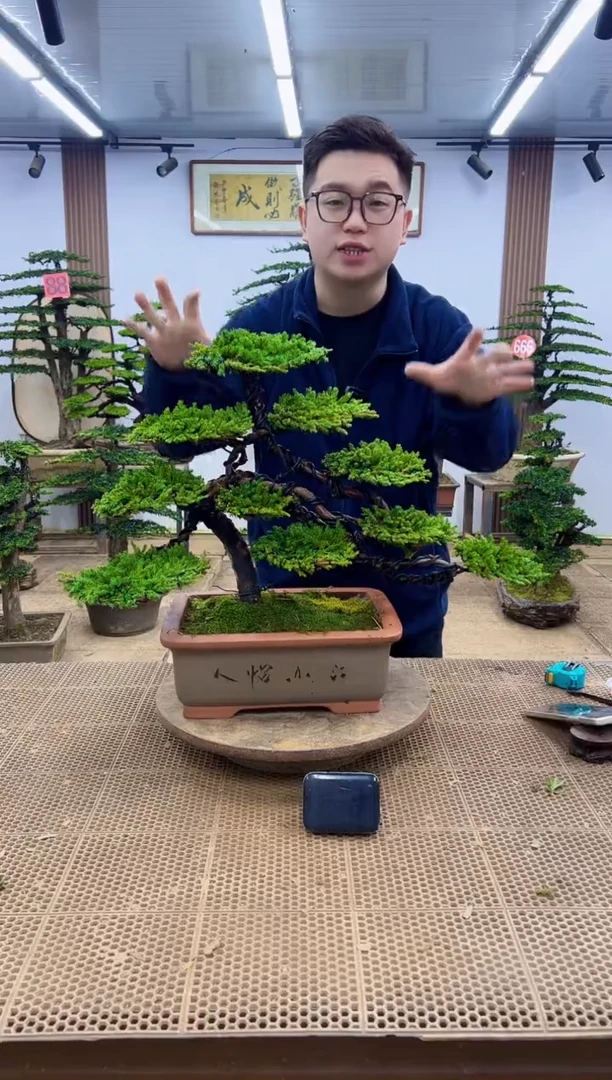 无花朵00000000000